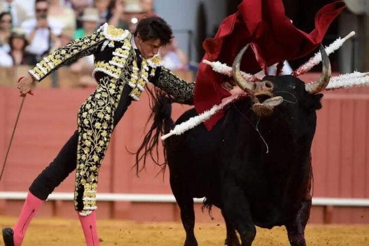 Afternoons of Solitude