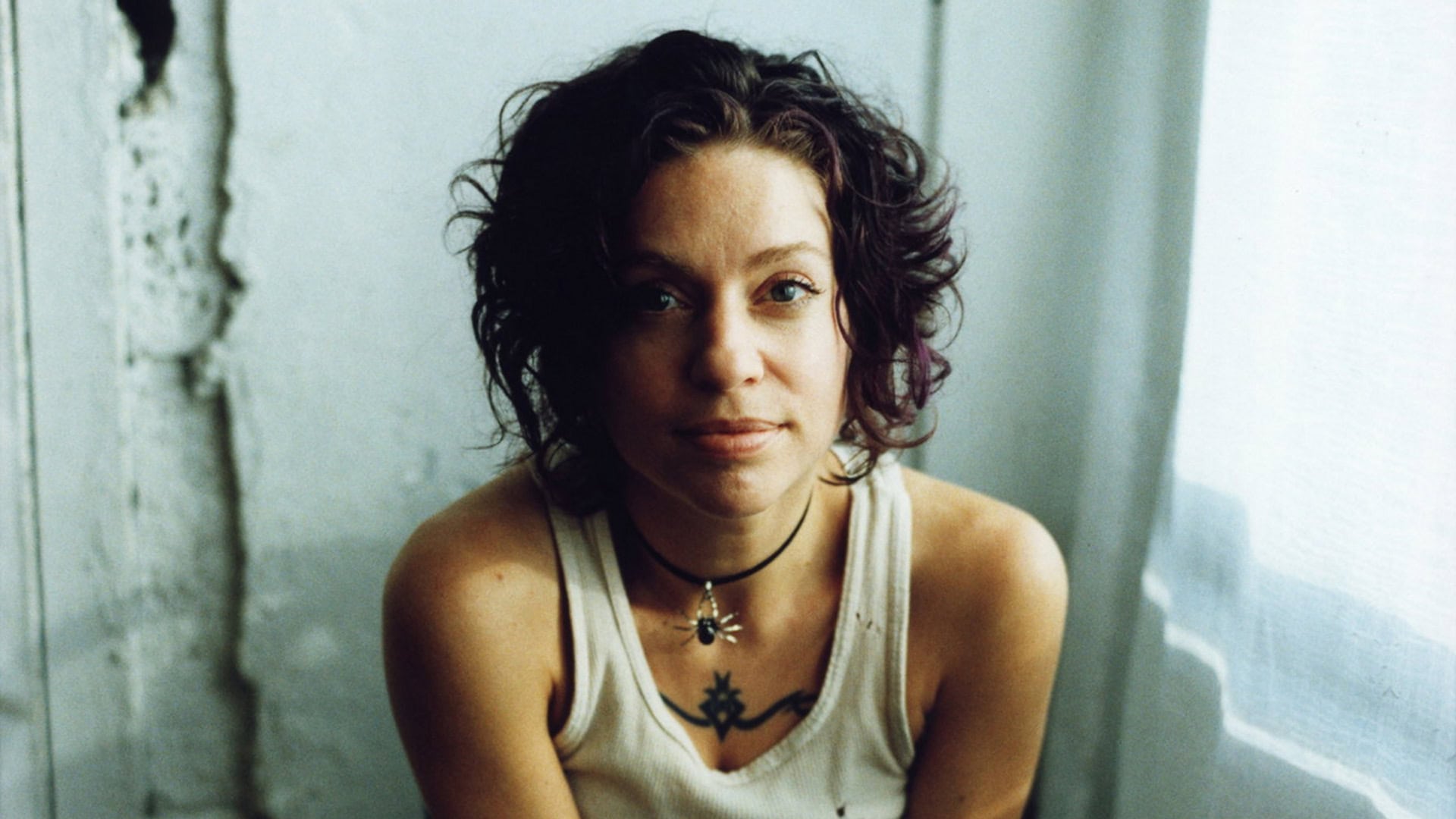Ani DiFranco: Sitting in Her Glass House