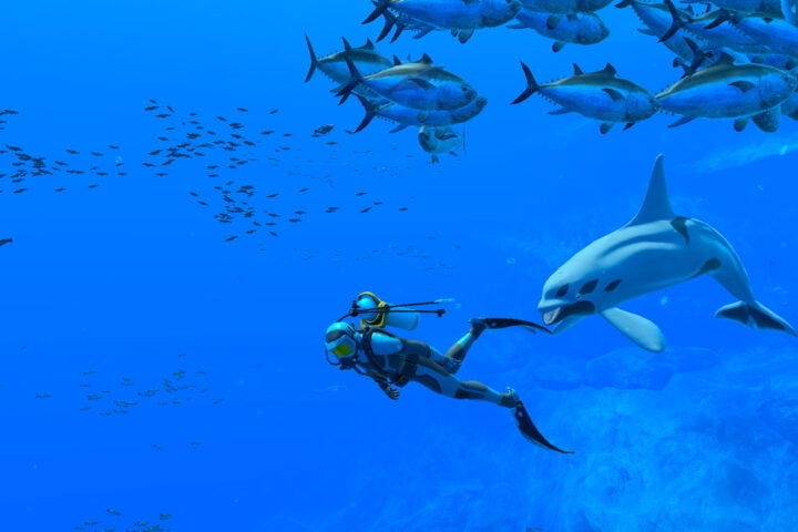 Endless Ocean Luminous