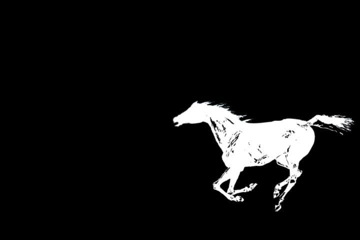 Neil Young with Crazy Horse, Fu##in' Up