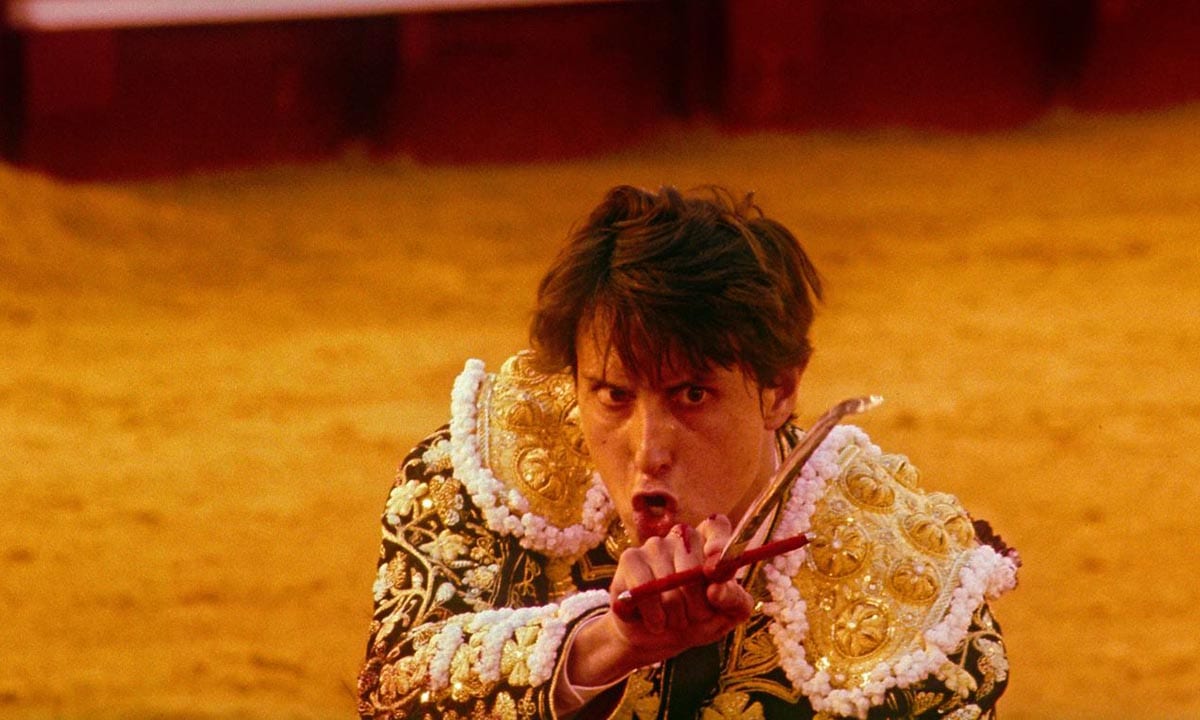 Afternoons of Solitude