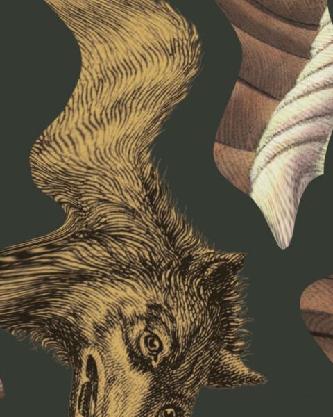 The Obscene Bird of Night