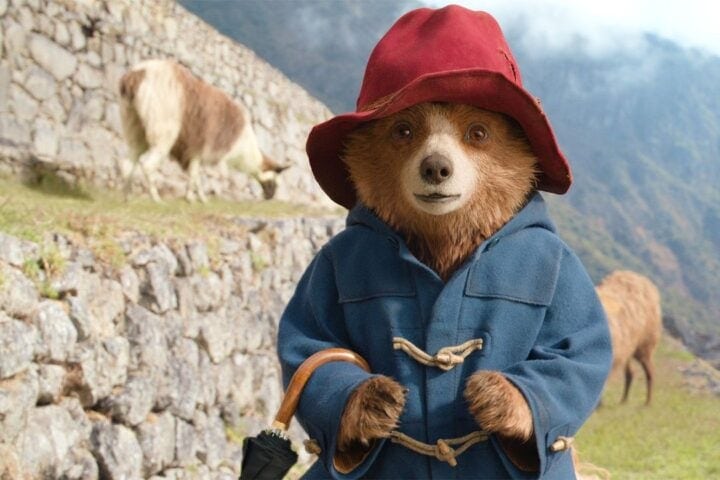Paddington in Peru