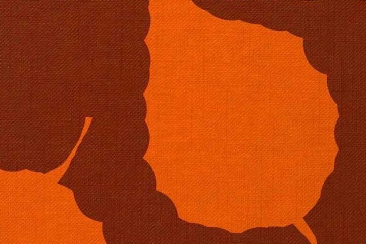 Van Morrison, Remembering Now